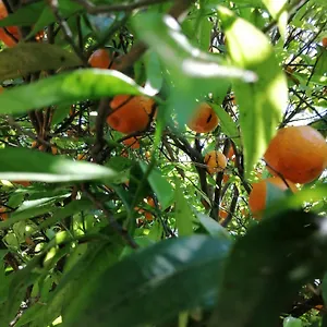 Frühstückspension Lumie Di Sicilia, Porto Empedocle